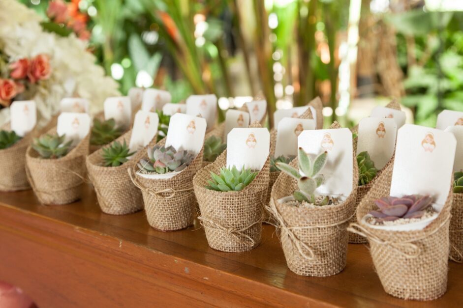 Potted succulent wedding favors