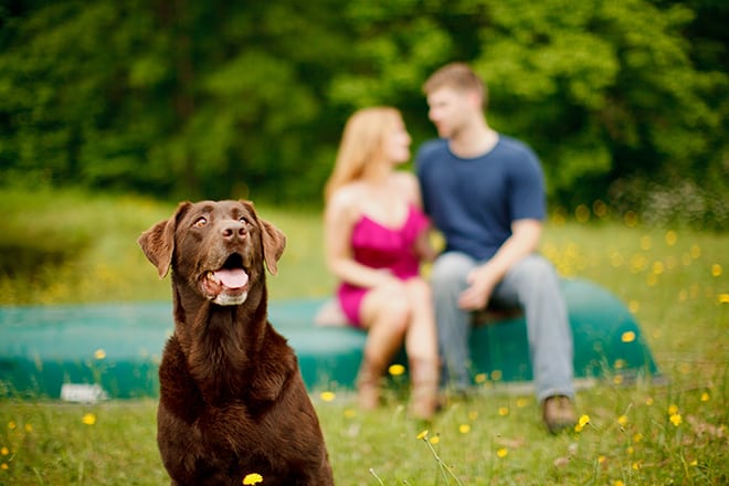 10 Adorable Ideas for Summer Engagement Sessions, photo by V.A. Photography || see more at blog.nearlynewlywed.com