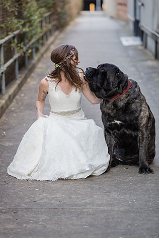 A sweet bridal inspiration shoot with an English Mastiff | Erin Costa Photography: http://erincostaphoto.com