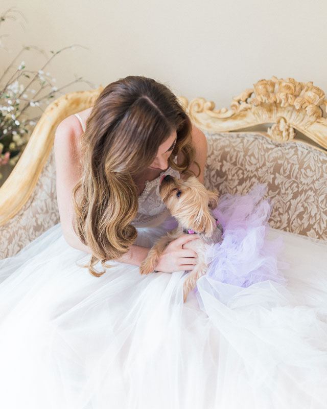 A spring pastel bridal inspiration shoot with an adorable yorkie pup by Sincerely, Emelia