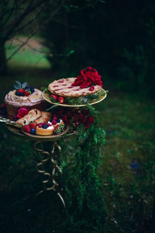 A richly hued and moody enchanted rose garden wedding styled shoot inspired by Sleeping Beauty by Amber Cather Photography