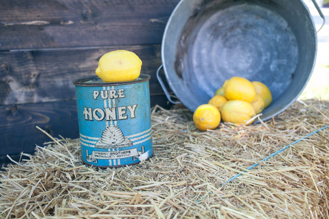 A rustic blue and yellow lemonade wedding inspiration shoot with a custom lemonade stand // photo by Christine Picheca Photography: http://christinepicheca.com || see more on https://blog.nearlynewlywed.com