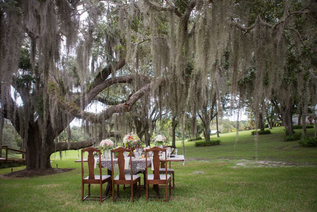 Inspiration for a rustic outdoor wedding in Florida | Harmony Lynn Photography: www.harmonylynnphotography.com