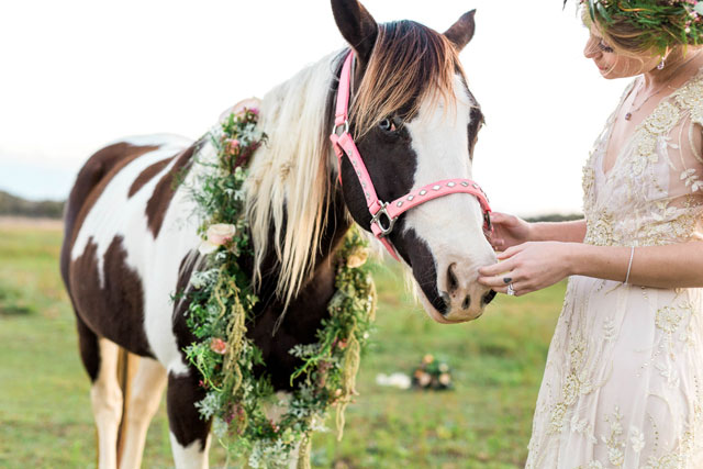 A stunning and enchanting equine sanctuary wedding inspiration shoot in the Florida countryside by Rising Lotus Photography