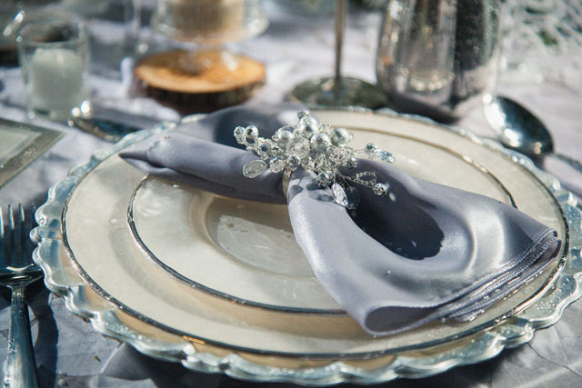 A spectacularly creative and innovative winter frost wedding styled shoot by Ron Delhaye Studios and Unveiled Weddings & Events