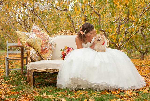 A fairy tale autumn peach orchard wedding inspiration shoot // photos by Svetlana HillKovich: http://www.svetlanahillkovich.com || see more on https://blog.nearlynewlywed.com