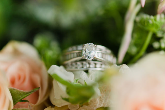 A quiet and intimate garden elopement inspiration shoot in Washington D.C. by Terri Baskin Photography