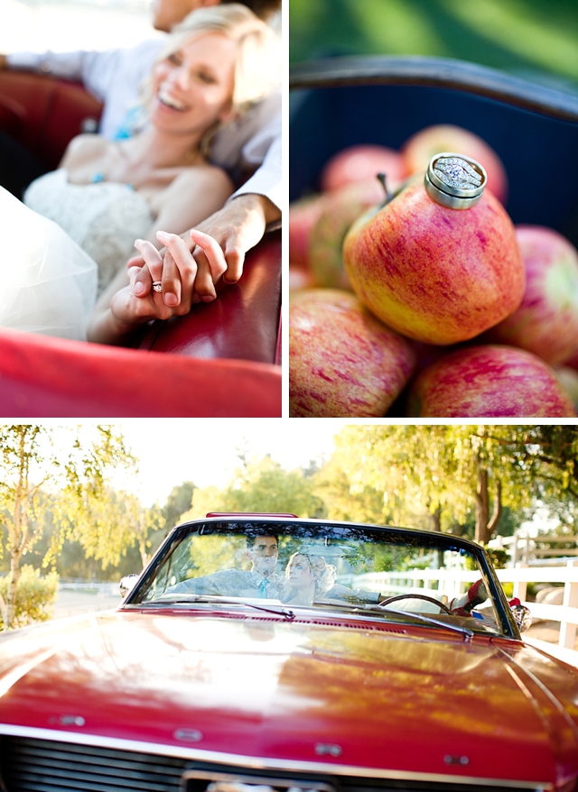American as apple pie styled shoot by The Purple Tree Photography || see more on blog.nearlynewlywed.com