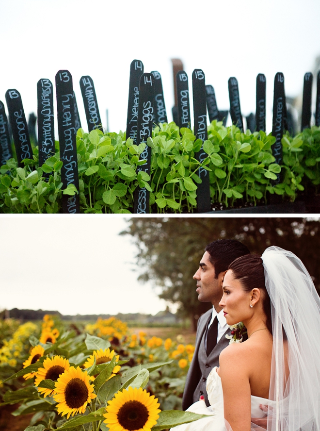 Sang Lee Farms Wedding by a guy + a girl photography