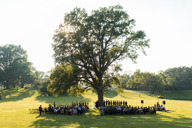 A romantic Kuhs Farm wedding under a majestic tree by Alec Vanderboom and Cosmopolitan Events