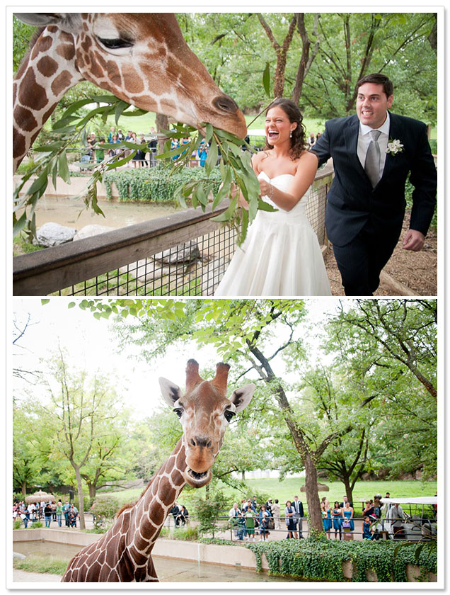 Philadelphia Zoo Wedding by Castell Photography on ArtfullyWed.com