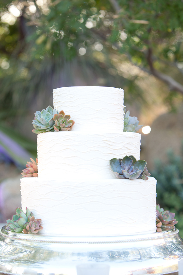 A spring wedding in the desert with succulents and green apples by Andrea Brewster Photography || see more on blog.nearlynewlywed.com