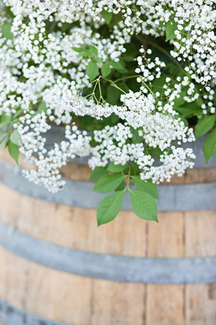 A chic vineyard wedding in the Hudson Valley with lavender and herbs by Ashley Mac Photographs