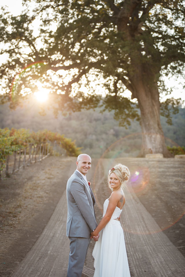 A picturesque Hammersky Vineyards wedding at sunset by Bergreen Photography