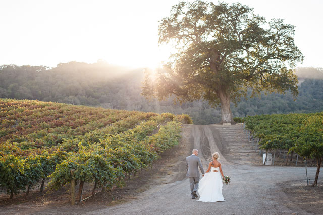 A picturesque Hammersky Vineyards wedding at sunset by Bergreen Photography