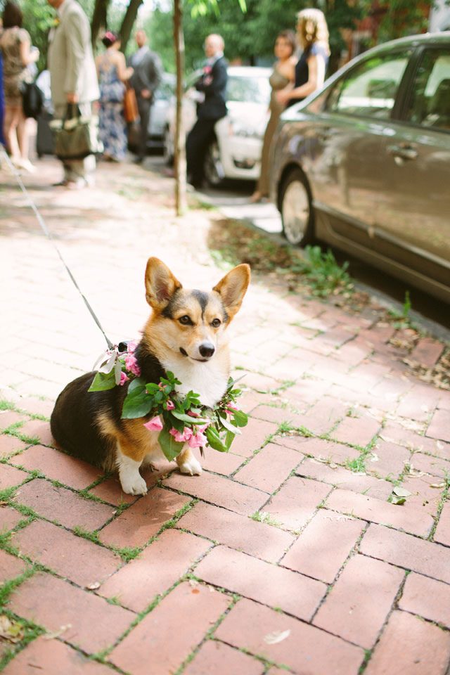 An urban boho wedding with gorgeous greenery and a corgi flower girl by Caitlin Thomas Photography