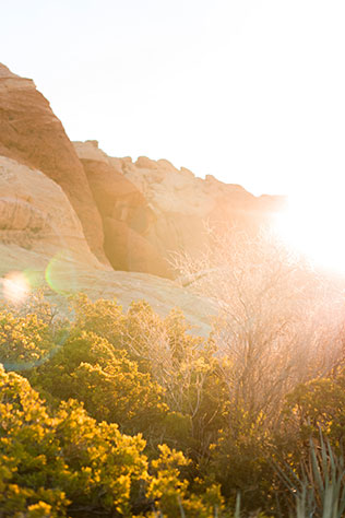 An intimate and romantic sunrise couple's session in Red Rock Canyon by Caroline & Evan Photography