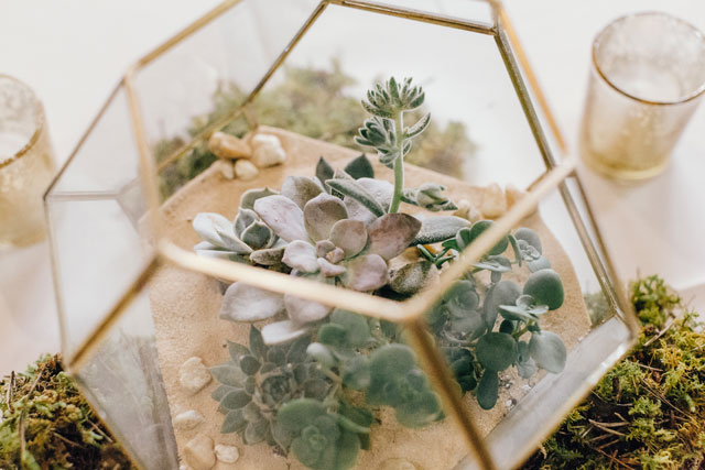 A modern vintage affair at Jackson Terminal with geometric terrariums and succulents and vintage decor by Erin Morrison Photography