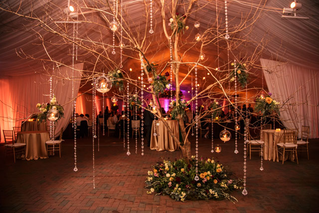 A romantic winter wedding celebration at one of Asheville's greatest venues, The Biltmore Estate | Grant & Deb Photographers: http://grantdeb.com