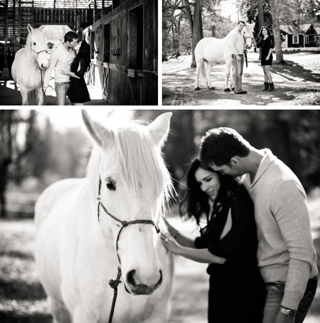 A sweet engagement session with a gorgeous white horse at The Biltmore by Katy Cook Photography || see more on blog.nearlynewlywed.com