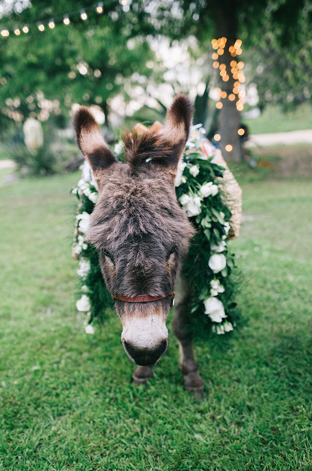 A beautifully light and airy pastel wedding at Le San Michele with donkeys by Kayla Jannika Photography