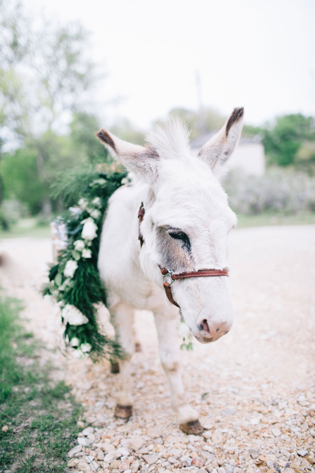 A beautifully light and airy pastel wedding at Le San Michele with donkeys by Kayla Jannika Photography