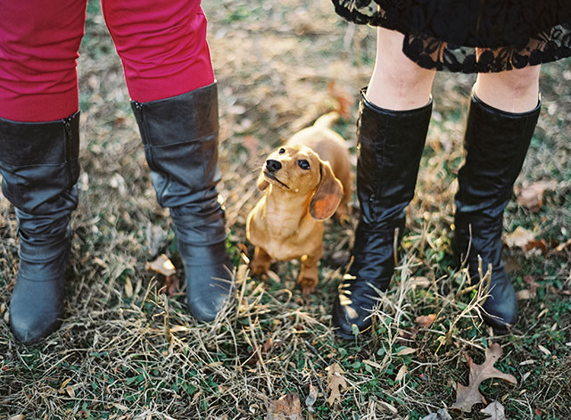 A same-sex Valentine's Day engagement shoot with the couple's dachshund | Laura Gordon Photography: http://www.lauragordonphotography.com