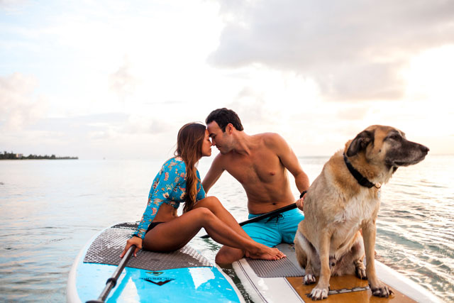A romantic and tropical engagement session on Saipan with the couple's dog and paddle boarding by Lauren Benson Photography