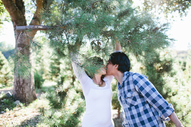 A Christmas tree farm engagement session capped off with a round of hard cider // photos by Let's Frolic Together: http://www.letsfrolictogether.com || see more on https://blog.nearlynewlywed.com