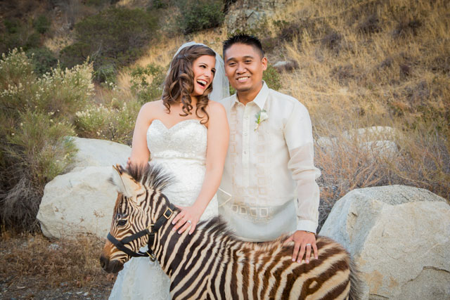 A sweet and personal budget wedding at Sweet Pea Ranch with a zebra | Litetrap Weddings: litetrapweddings.com