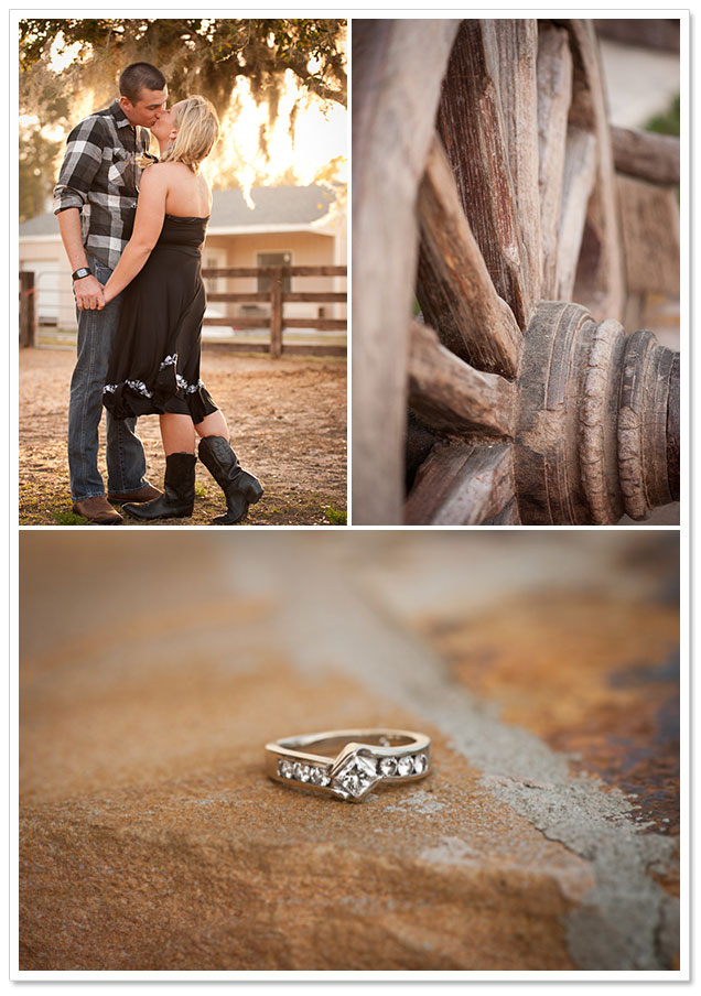 Gypsy Vanner Engagement by Laura Yang Photography on ArtfullyWed.com
