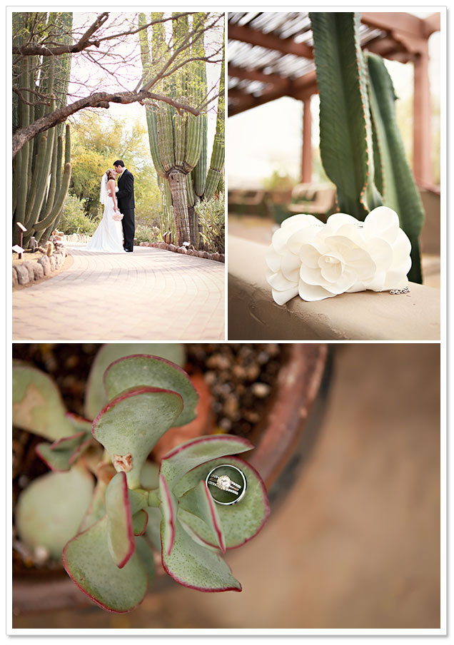 Desert Botanical Garden Wedding by Meant2Be Events and Brittany Janelle Photography on ArtfullyWed.com