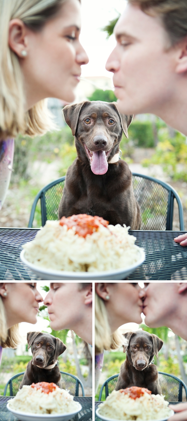 A sweet Lady and the Tramp-inspired engagement session by Maria Angela Photography || see more at blog.nearlynewlywed.com