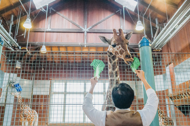 A whimsical animal lovers' San Francisco zoo wedding by Milou + Olin Photography