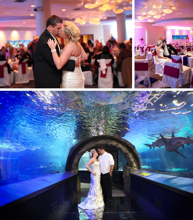 A unique and modern wedding with pink accents at the Newport Aquarium by Mandy Paige Photography || see more on blog.nearlynewlywed.com