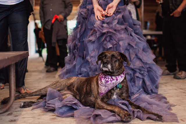 An eclectic mountain wedding in Colorado with a gorgeous purple wedding gown | Nick Sparks Photography: http://www.nicksparksweddings.com