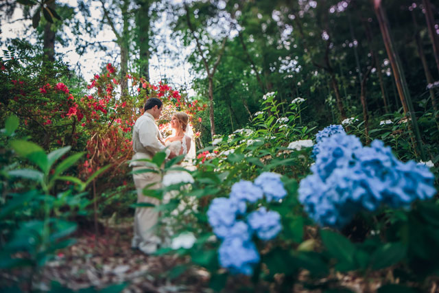 A vintage blush and ivory spring wedding at the Magnolia Plantation and Gardens | Richard Bell Photography: http://www.charlestonwedding.com