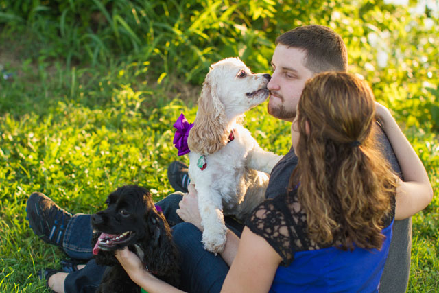 A romantic sunset lake engagement session with the couple's adorable dogs // photo by Robyn Icks Photography: http://robynicksphotography.com || see more on https://blog.nearlynewlywed.com