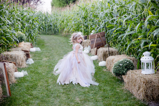 A DIY country wedding set right in the middle of a corn field | Roxana Albusel Photography: http://www.roxanaphotography.com