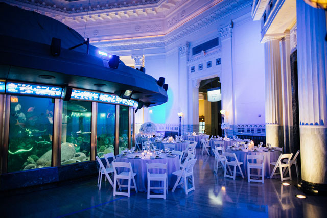 An elegant Waterside Shedd Aquarium wedding in Chicago by Tim Tab Studios and Anticipation Events
