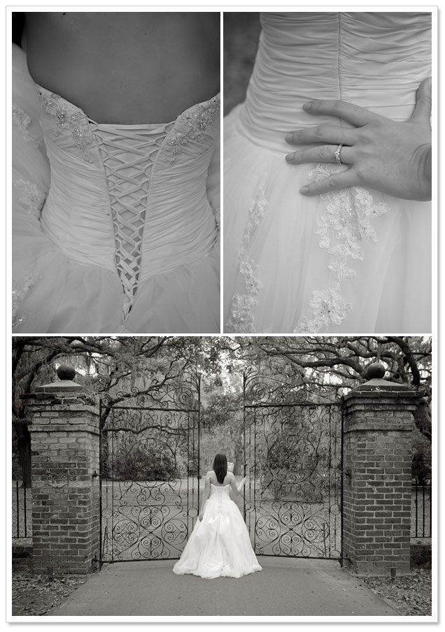 Bridal Portraits by Taylor Rae Photography on ArtfullyWed.com